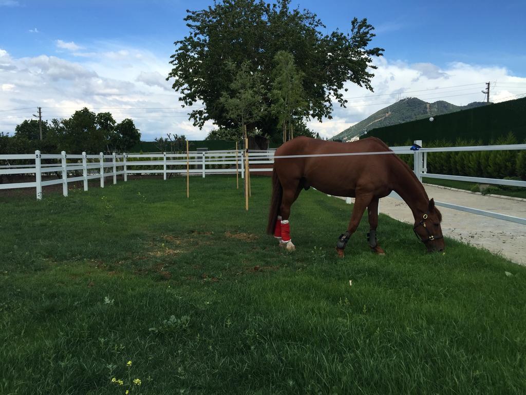 B. Equine Range Hotel Narlidere Dış mekan fotoğraf